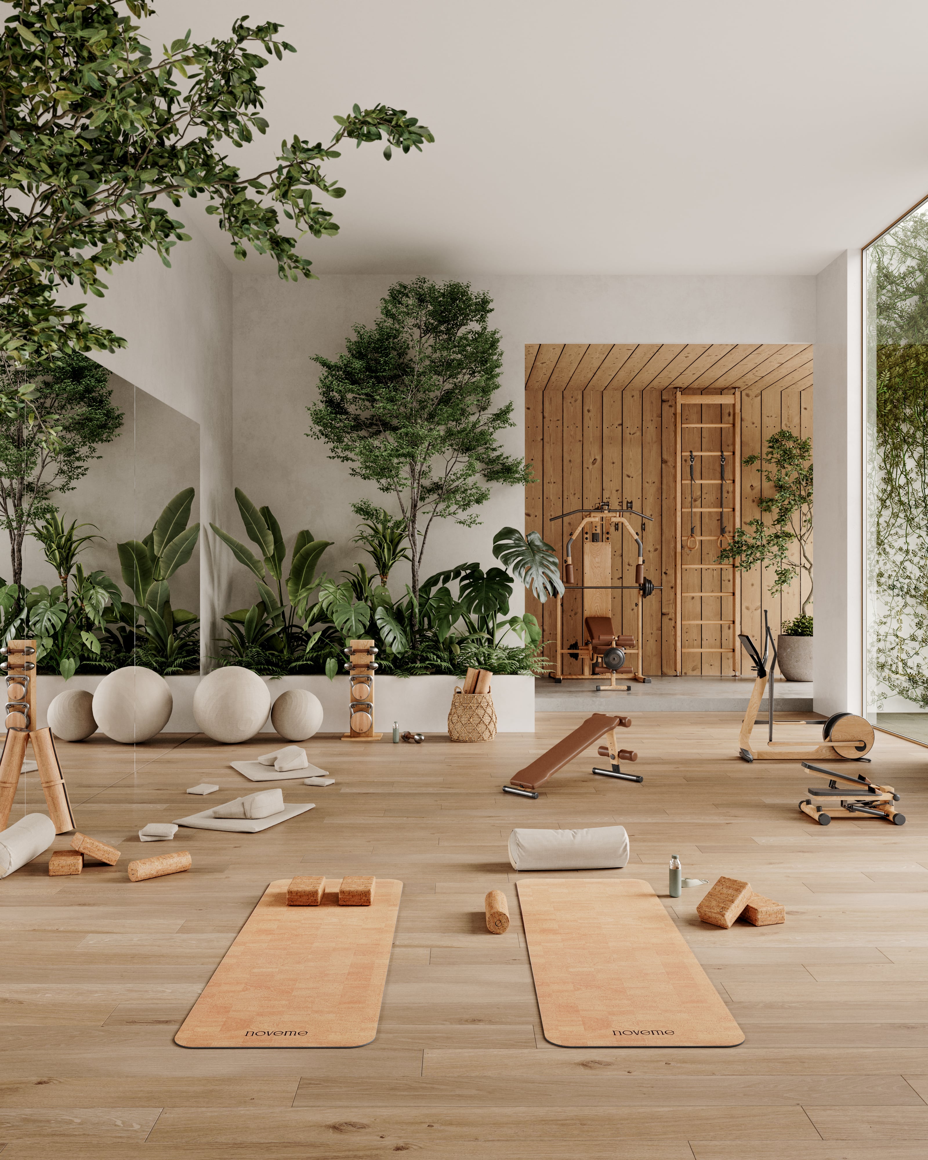 Home Gym Ideas | Home Gym Design | Noveme®